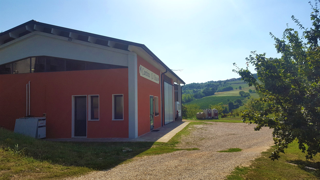 cantina vino vicenza